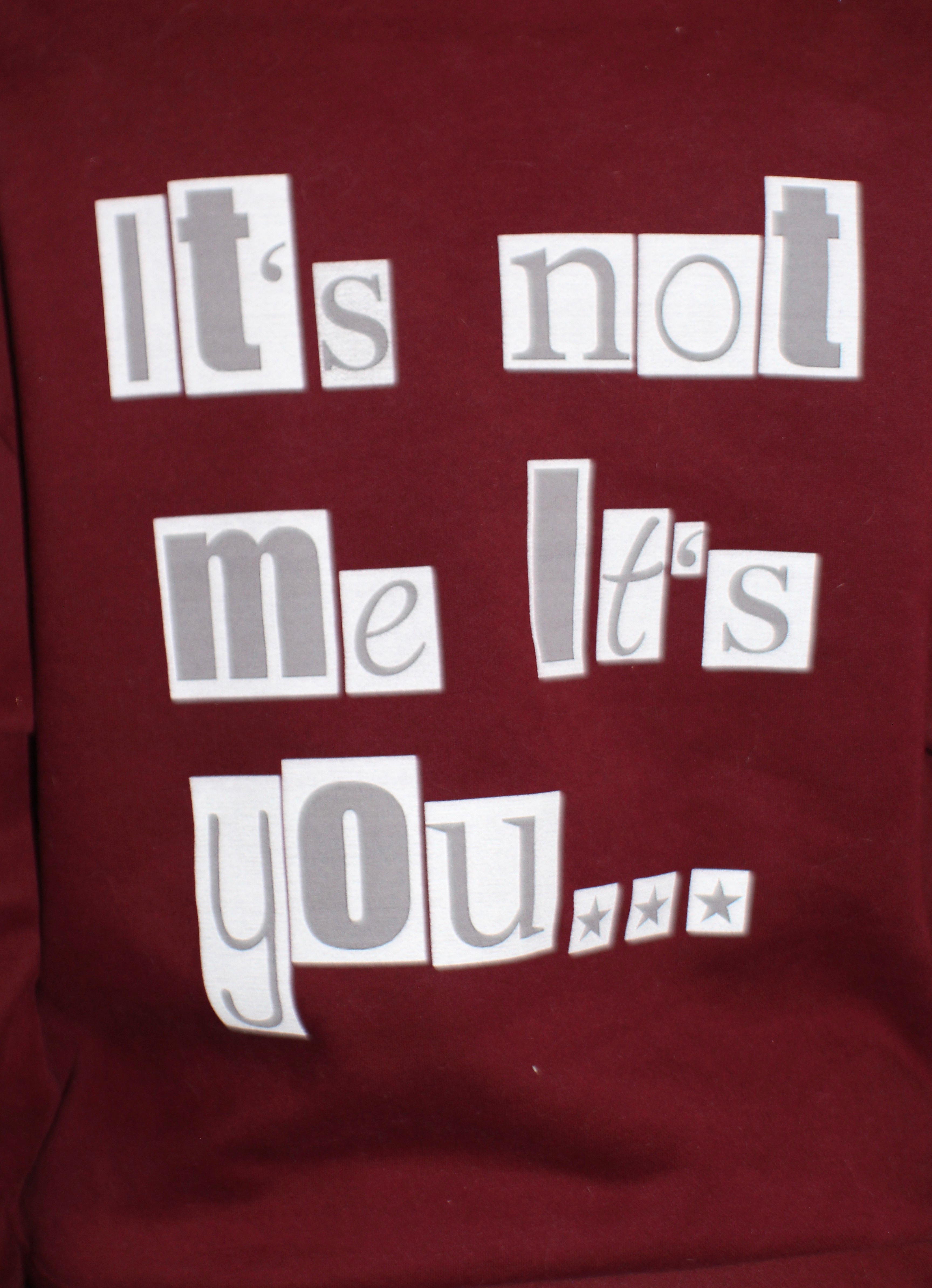 "It's not me, it's you" Hoodie